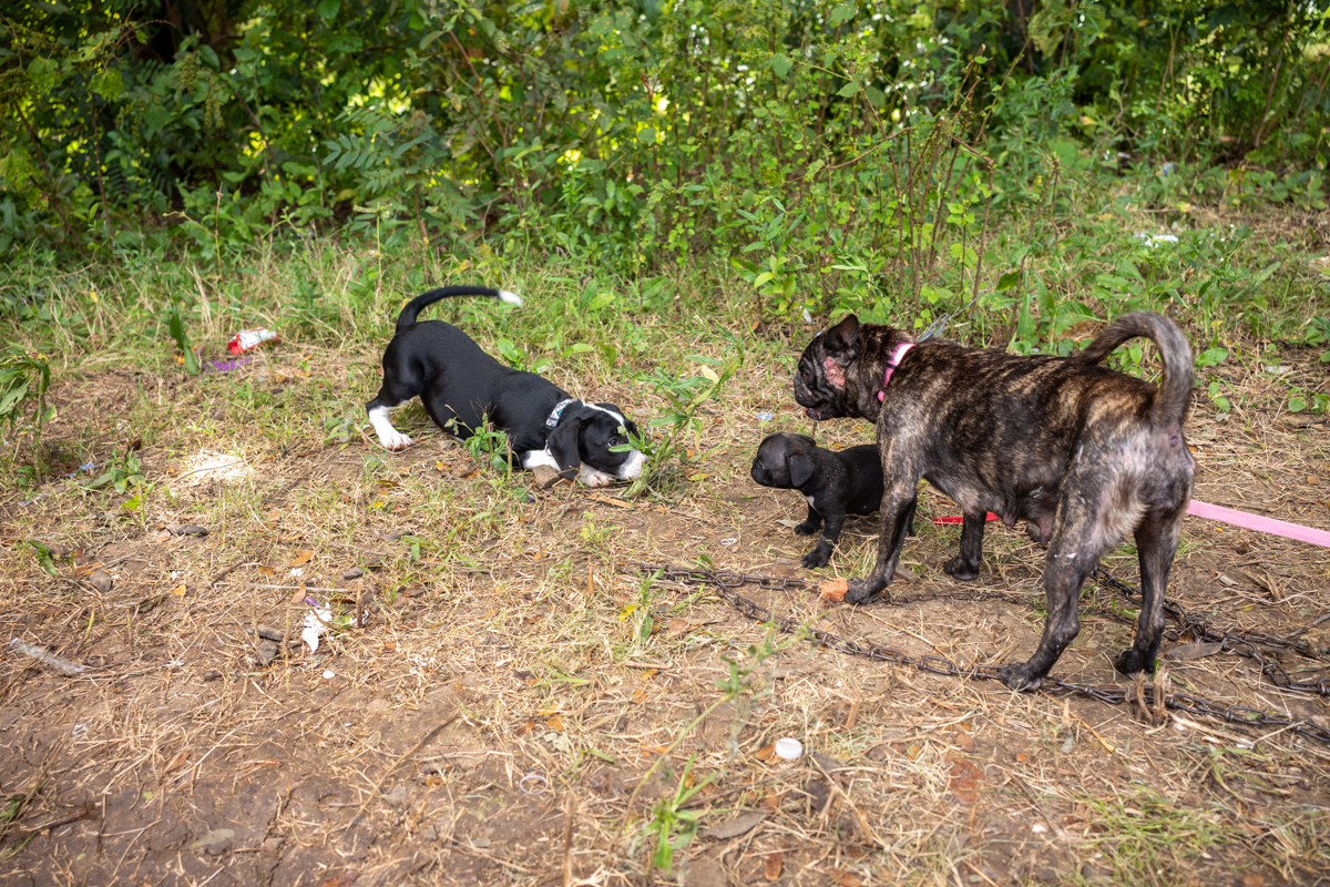 ©Omar Z. Robles (@OmarZRobles). All Rights Reserved.